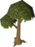 Normal Tree.png